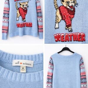 Self Esteem Light Blue Cat Weather Sweater